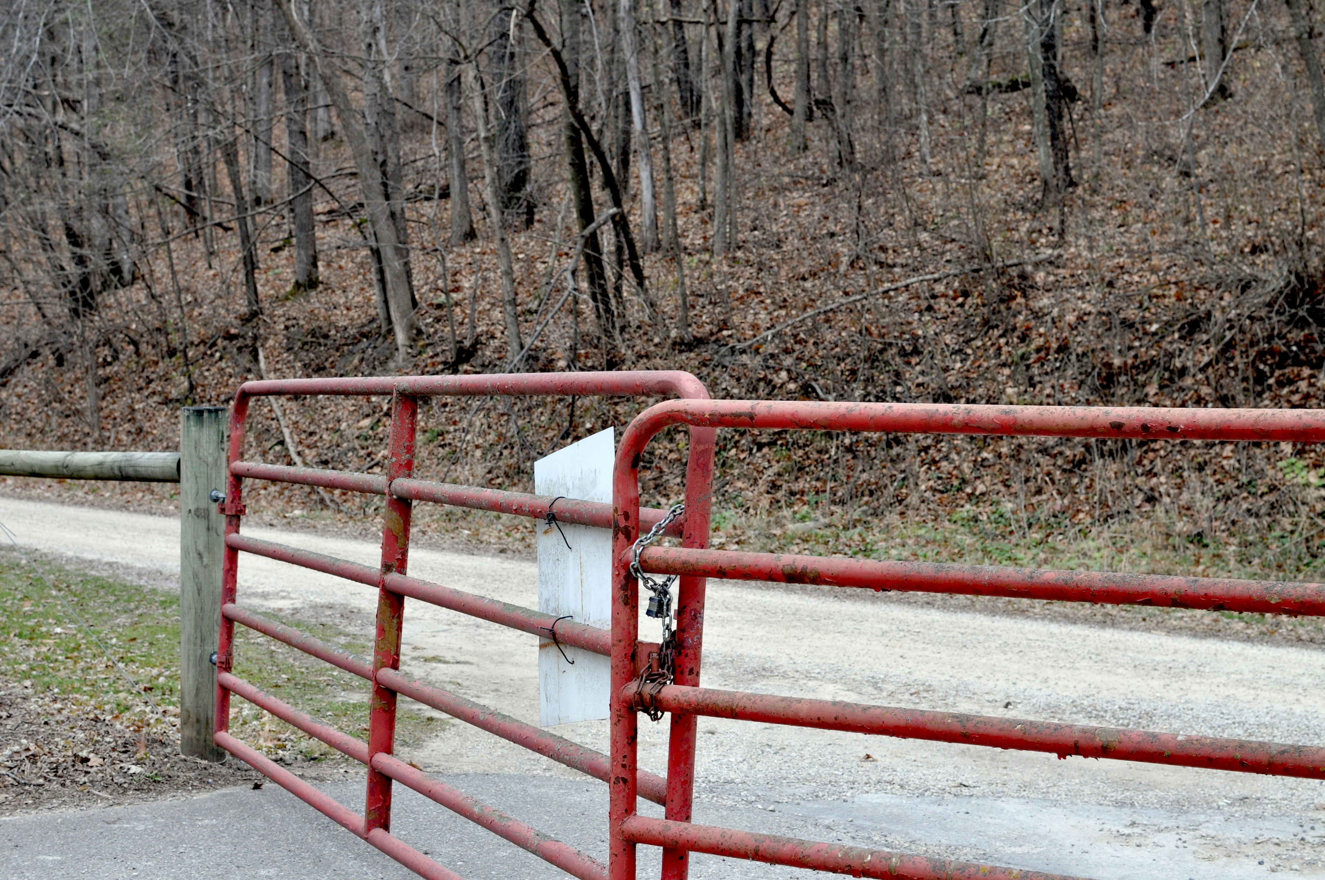 a fire hydrant sitting on the side of a road
