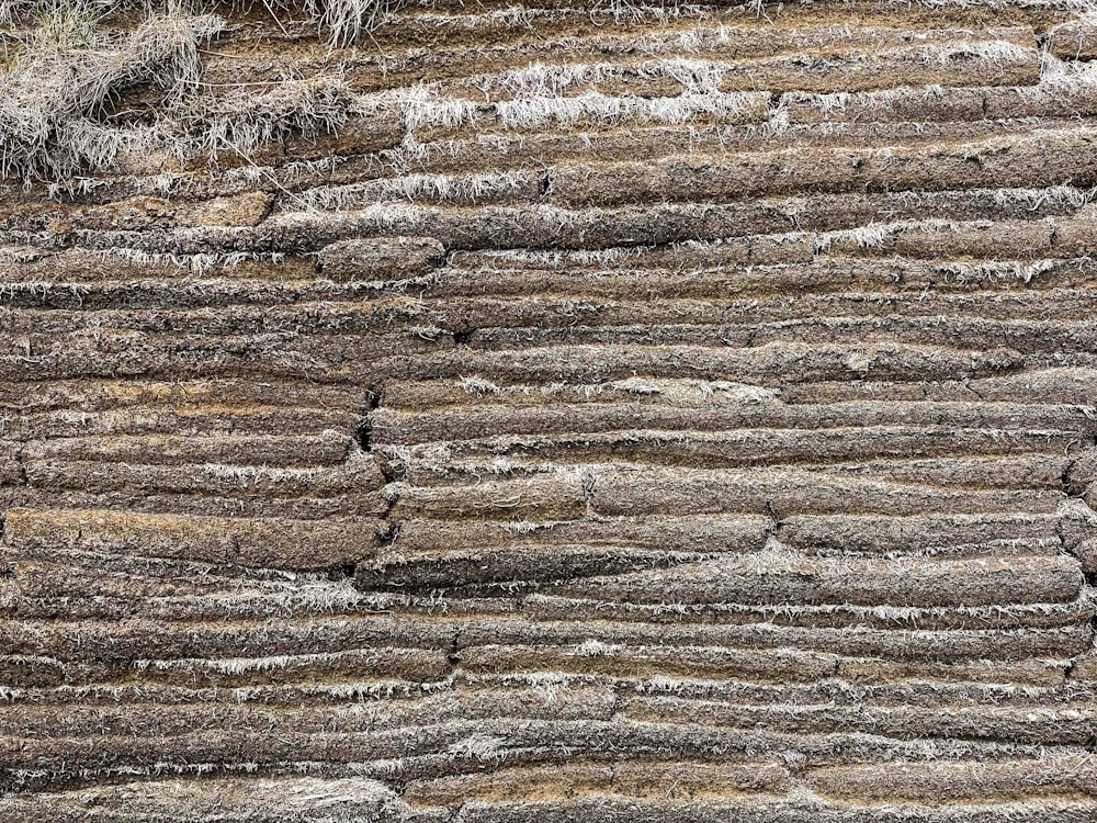 a close up of a rock formation with grass growing on top of it