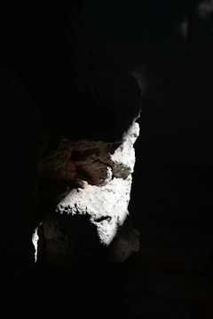 Soft directional lighting illuminating a deep black stone artifact with muted red veins.