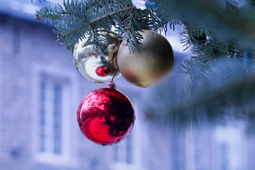 a red ornament hanging from a pine tree