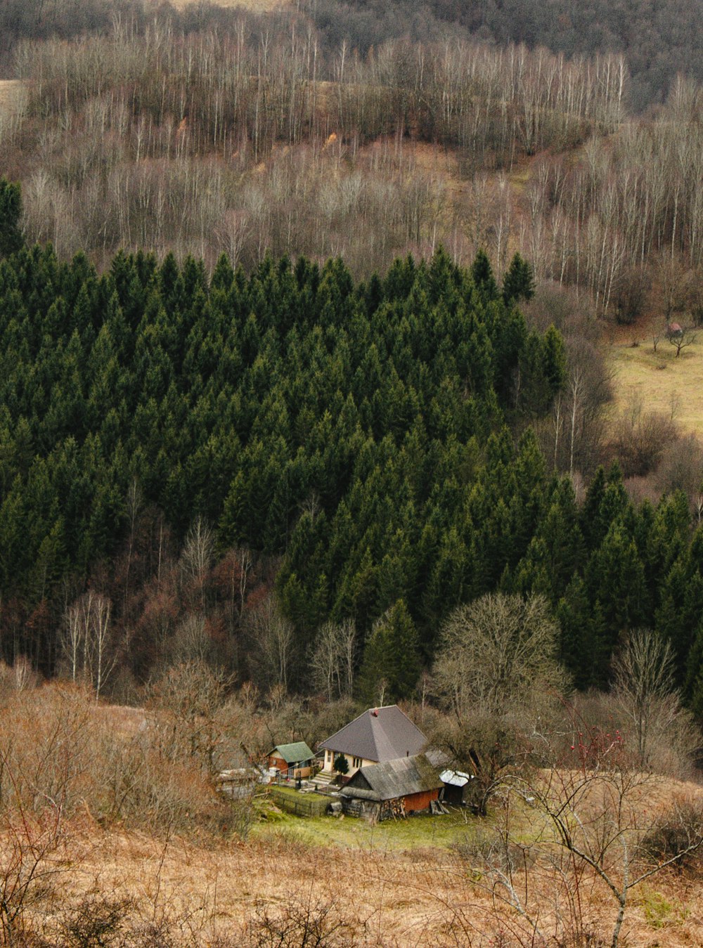 a house in the middle of a field surrounded by trees