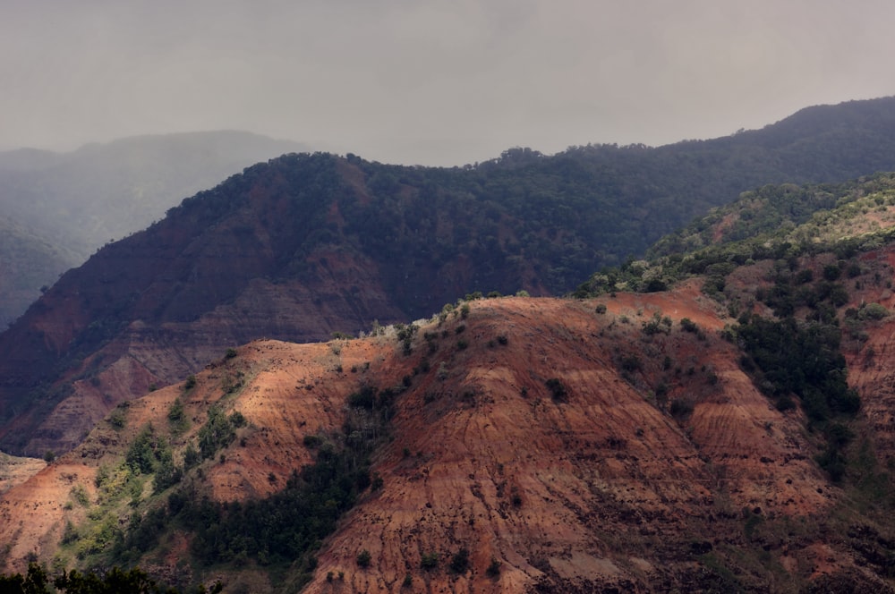 a view of a mountain range with trees on it