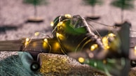 A model airplane wrapped in glowing string lights is displayed on a textured surface. The aircraft is green with a transparent cockpit, and the scene seems to be set outdoors with blurred trees in the background.