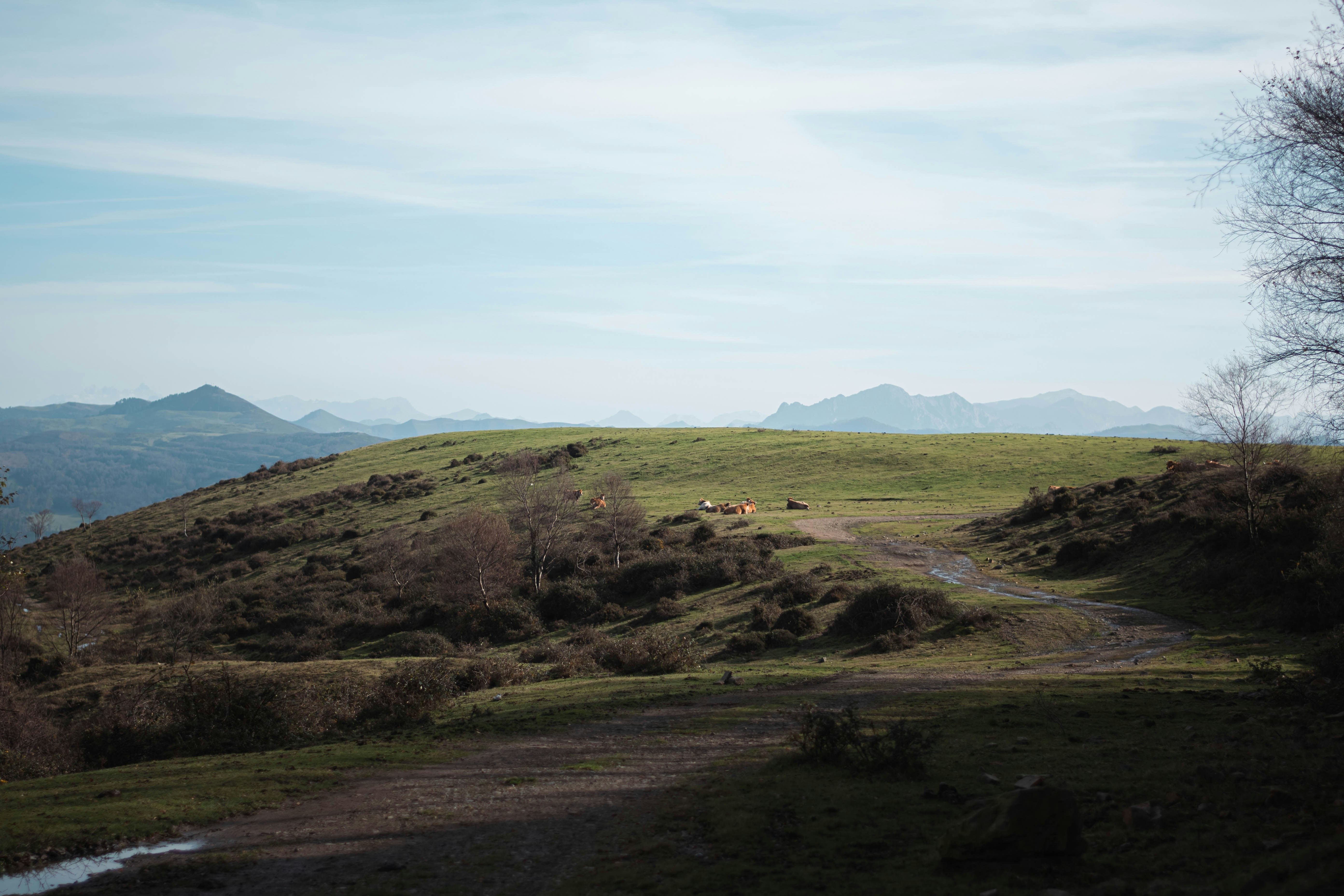 Photo by martynovych