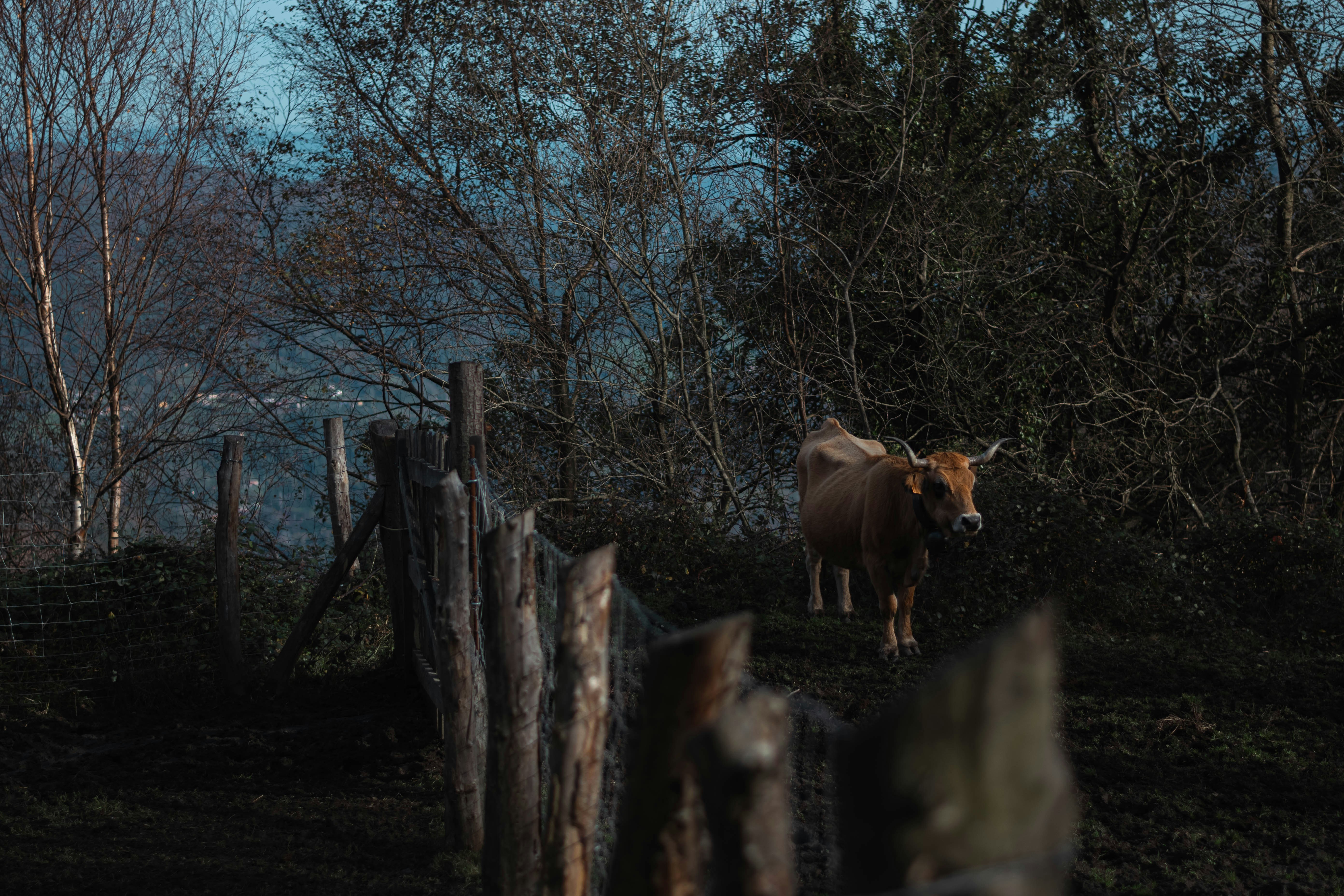 Photo by martynovych