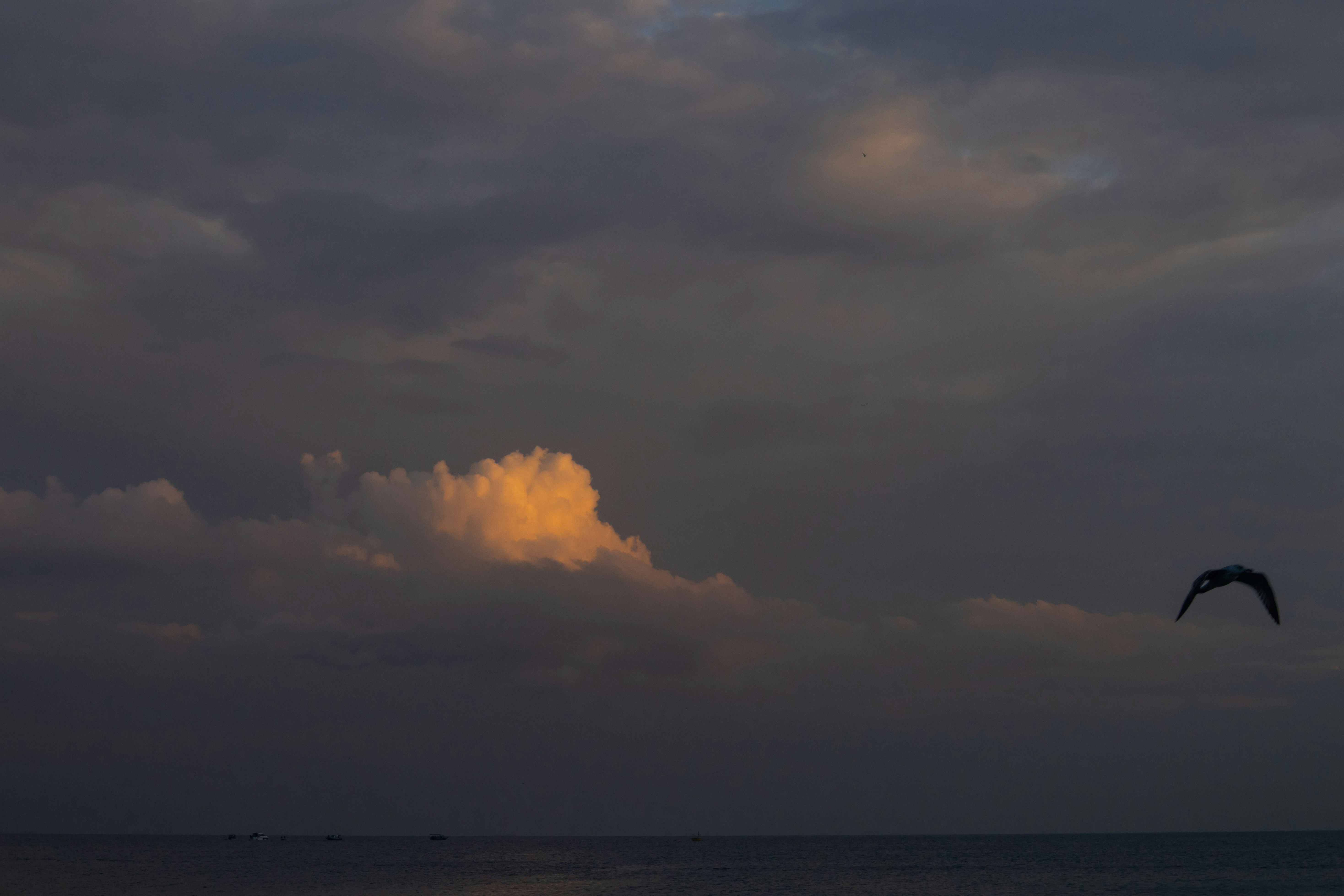 10 Điều Hướng Dẫn Dành Cho Tân Thủ Game Last Cloudia