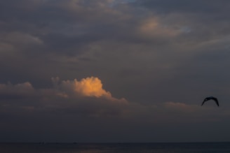 A scene featuring a cloudy sky with a prominent, illuminated cloud section in warm hues. A bird is flying to the right over a dark sea beneath the clouds.