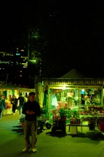 A cozy plant stall at a local Argentine fair with vibrant greenery and warm sunset light.