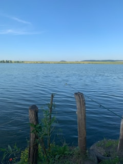 A serene lakeside scene at dawn with a fishing rod resting on the shore, mist rising from the water.
