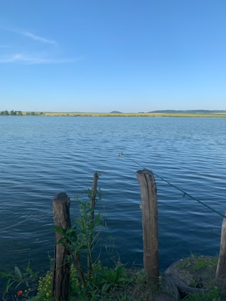 A serene lakeside scene with individuals fishing, showcasing inclusivity and nature.