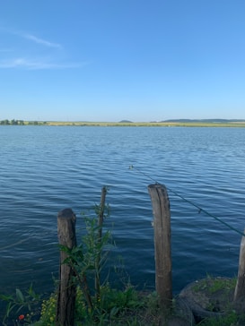 A serene lakeside scene, featuring calm water reflecting the clear blue sky. Wooden posts and green plants line the foreground, with a fishing rod extending over the water. The distant horizon marks the separation between land and the sky.