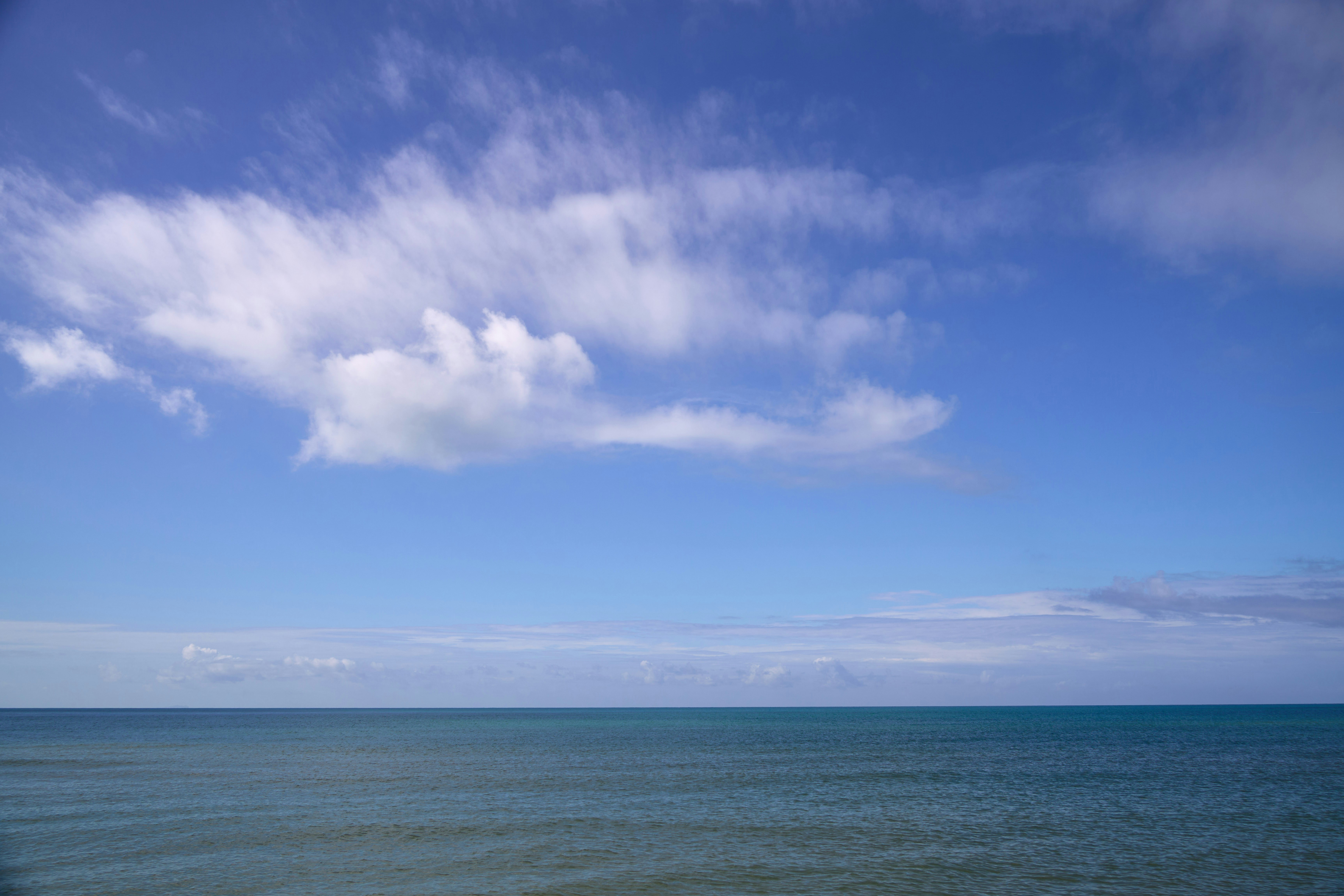 Photo by wolfgang_hasselmann