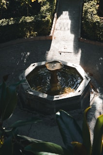 A cozy garden nook with a small water fountain and colorful seasonal flowers.