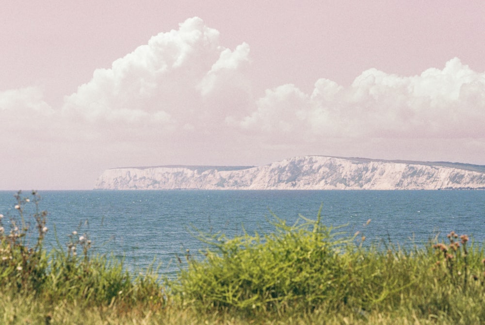 a large body of water sitting next to a lush green field