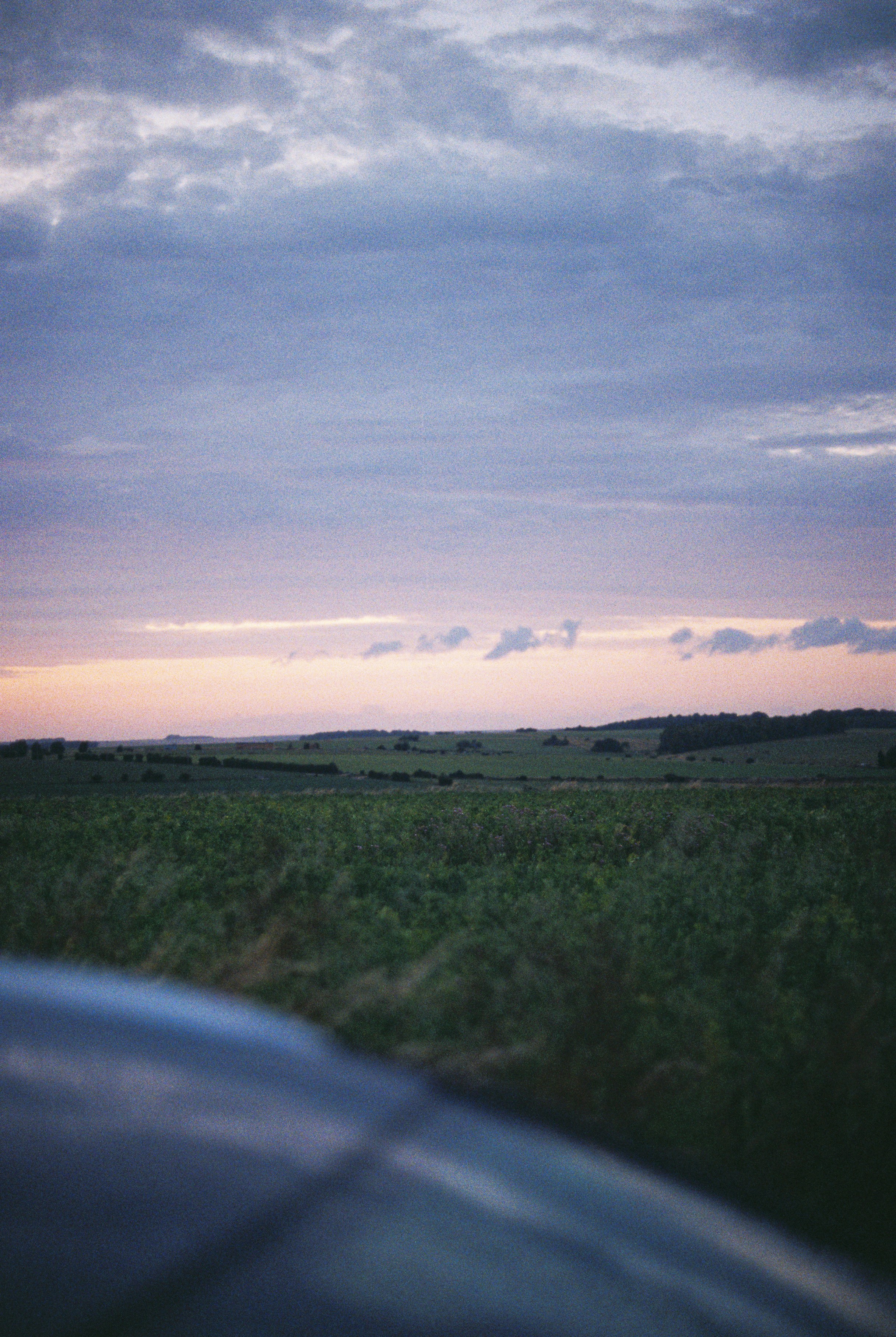 Photo by laup