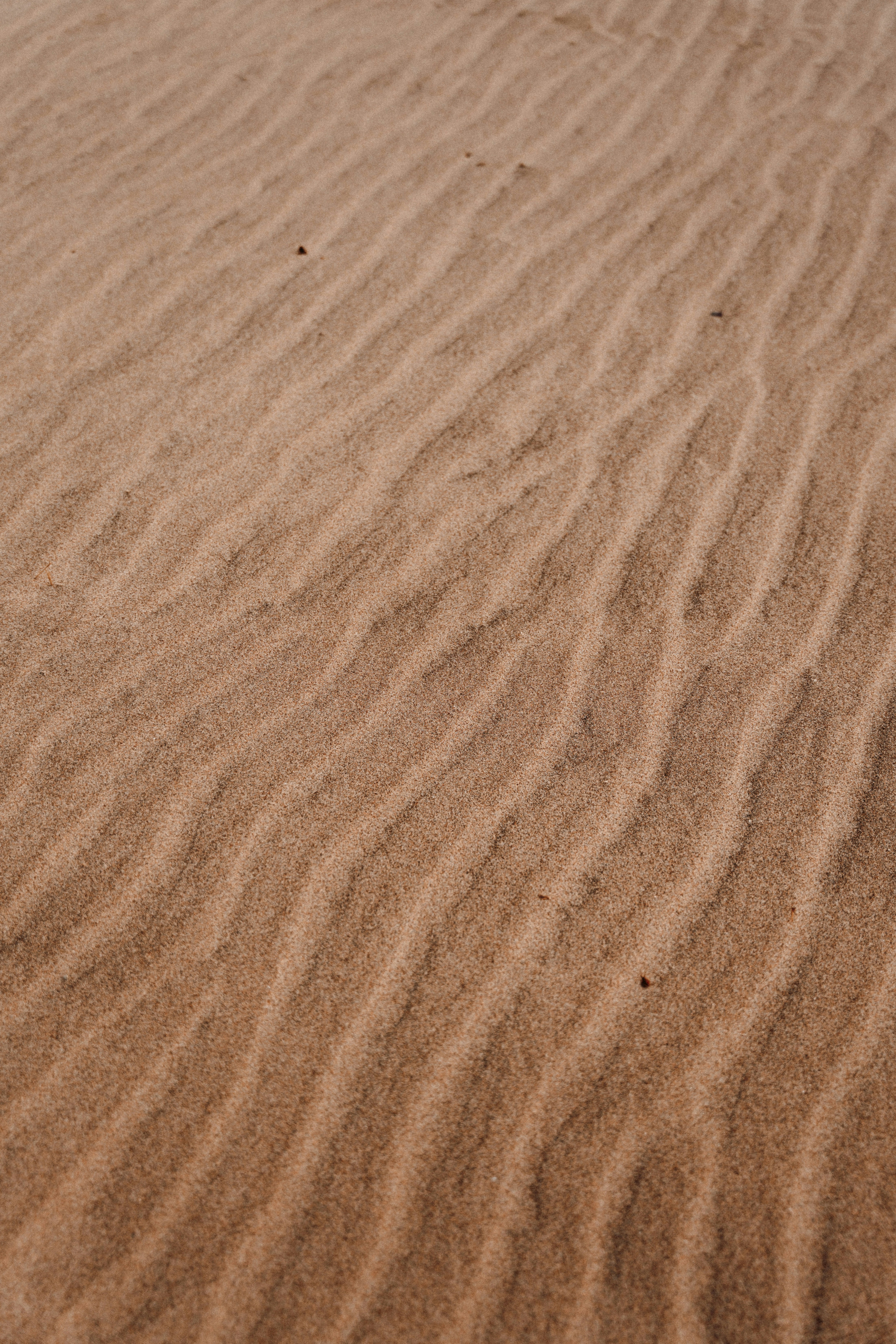 Photo by luiseandnic