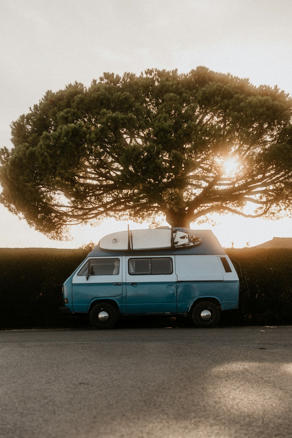 a blue van parked next to a large tree