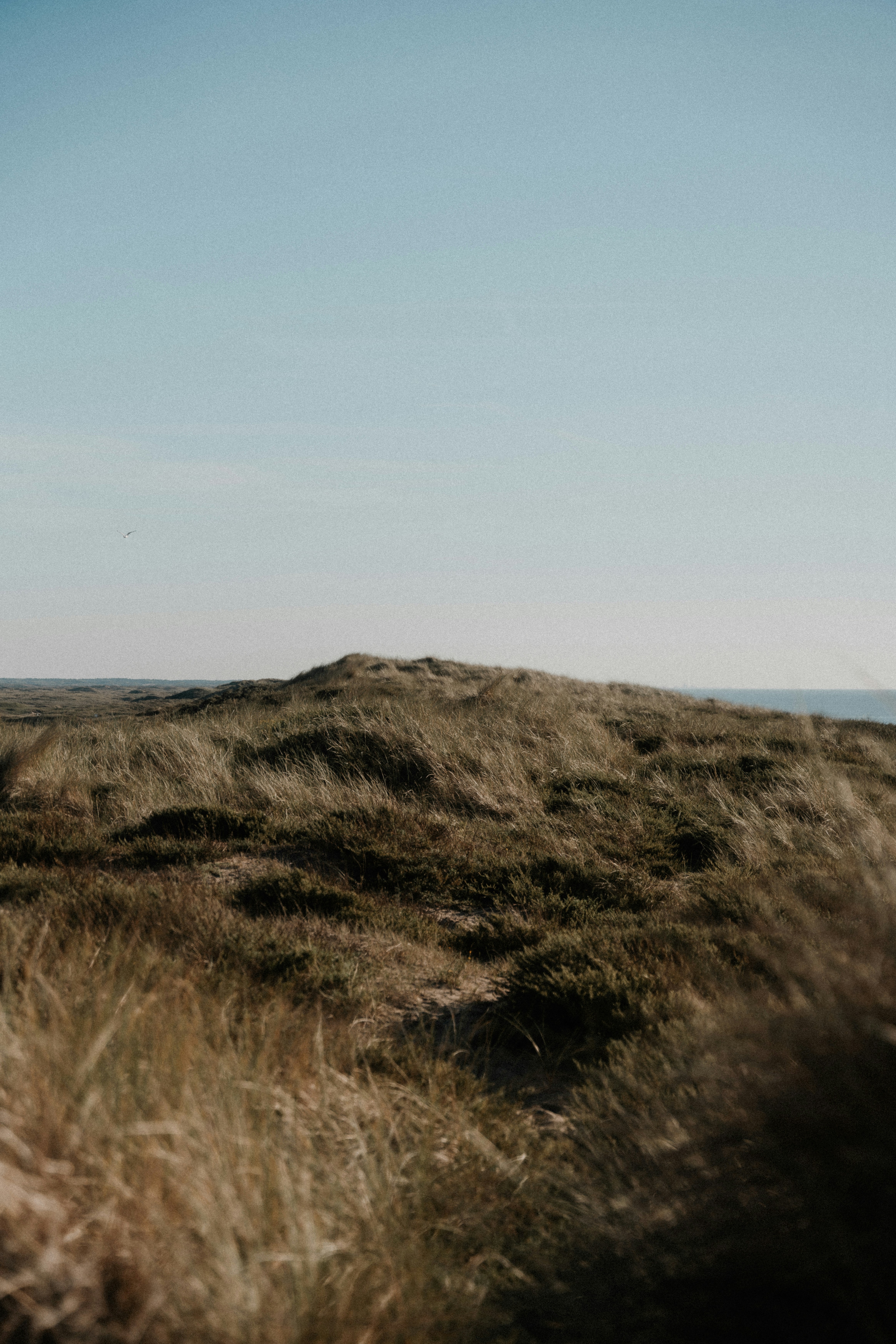 Photo by luiseandnic