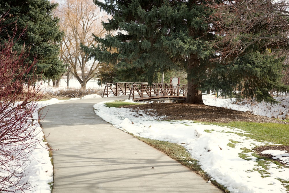 a sidewalk with snow on the ground next to a tree