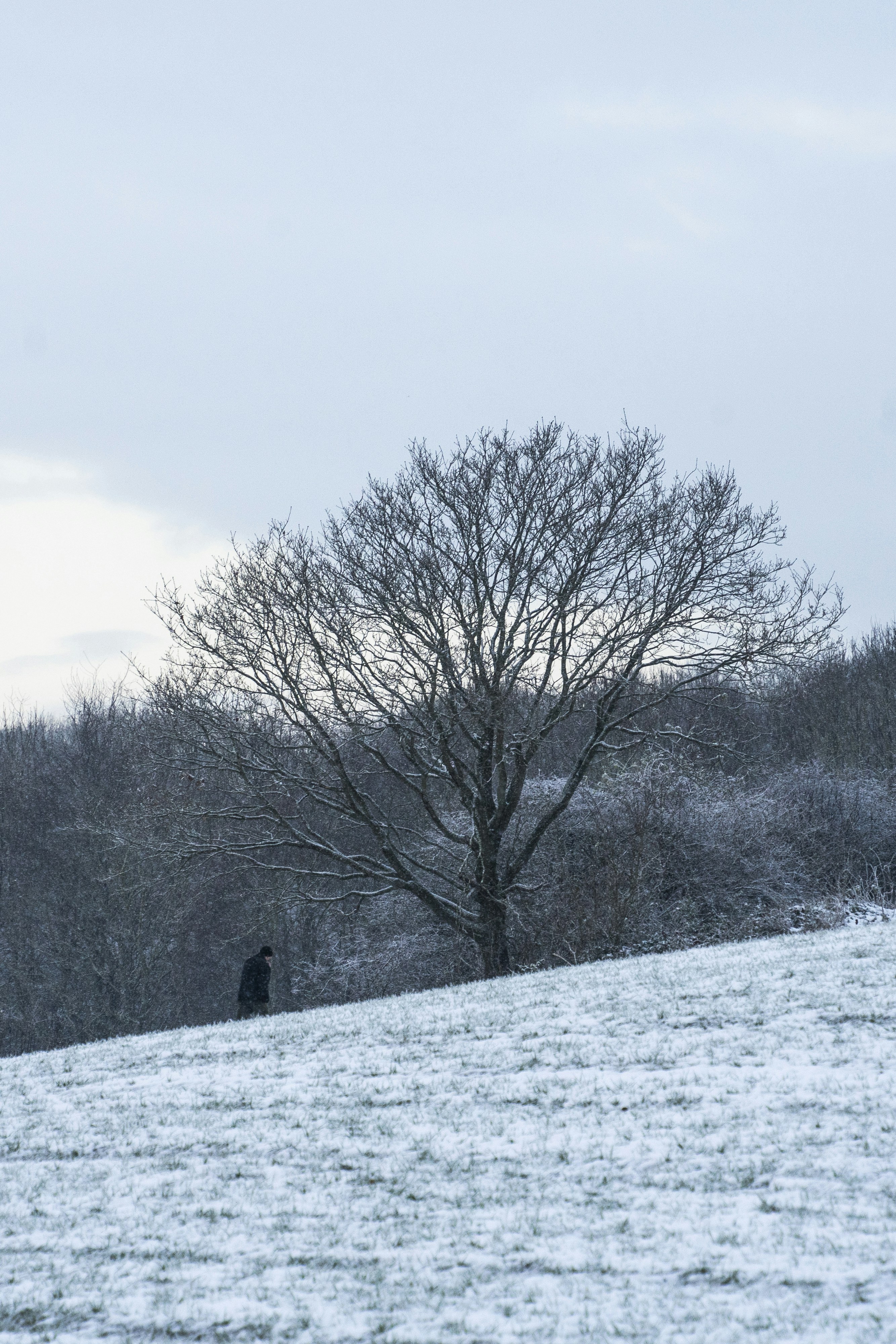 Photo by jeffreyzhang_920