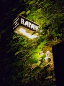 A rectangular illuminated sign with the text 'RAPAN' is nestled among lush green leaves and vines. The sign also contains smaller text that reads 'chocolates, café, & helados'. The foliage creates a natural framing for the sign, with light from the sign softly illuminating the surrounding leaves.