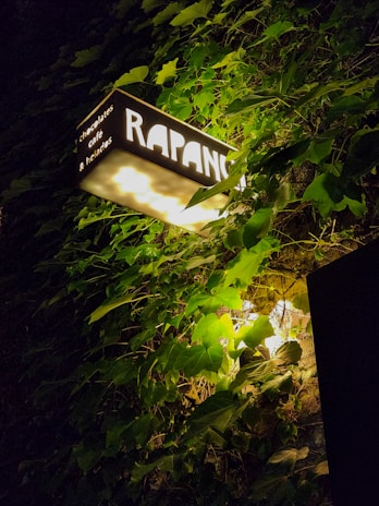 A rectangular illuminated sign with the text 'RAPAN' is nestled among lush green leaves and vines. The sign also contains smaller text that reads 'chocolates, café, & helados'. The foliage creates a natural framing for the sign, with light from the sign softly illuminating the surrounding leaves.
