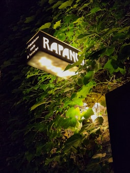 A rectangular illuminated sign with the text 'RAPAN' is nestled among lush green leaves and vines. The sign also contains smaller text that reads 'chocolates, caf&eacute;, & helados'. The foliage creates a natural framing for the sign, with light from the sign softly illuminating the surrounding leaves.