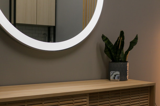 A modern bathroom setup features a large round, illuminated mirror on the wall above a wooden vanity unit with a slatted design. A potted plant with broad, upright leaves is placed on the vanity, adding a touch of greenery. The background includes light-colored cabinetry and a glimpse of tiled walls.