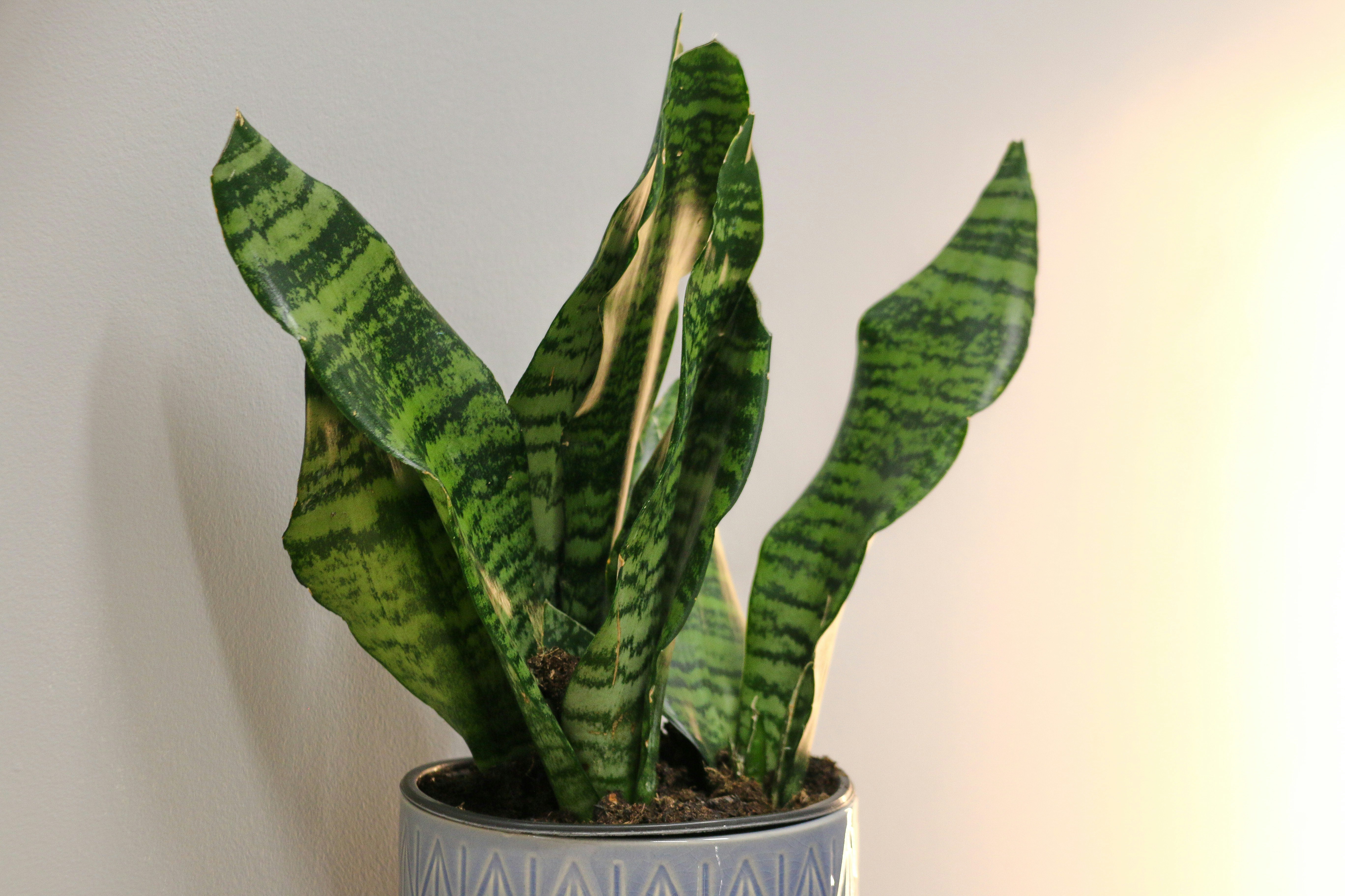 Photo by monkeymoron12