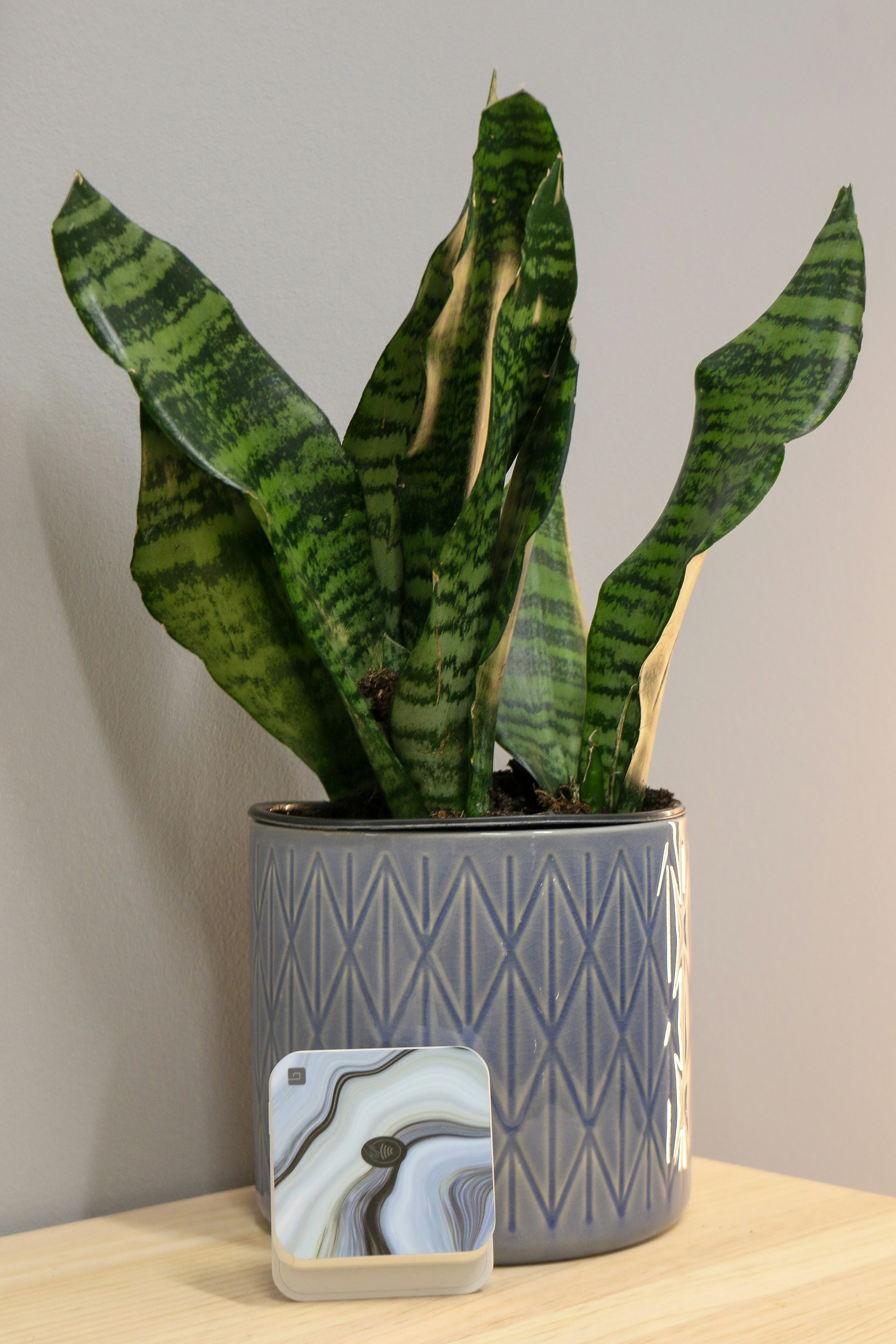 Photo by monkeymoron12