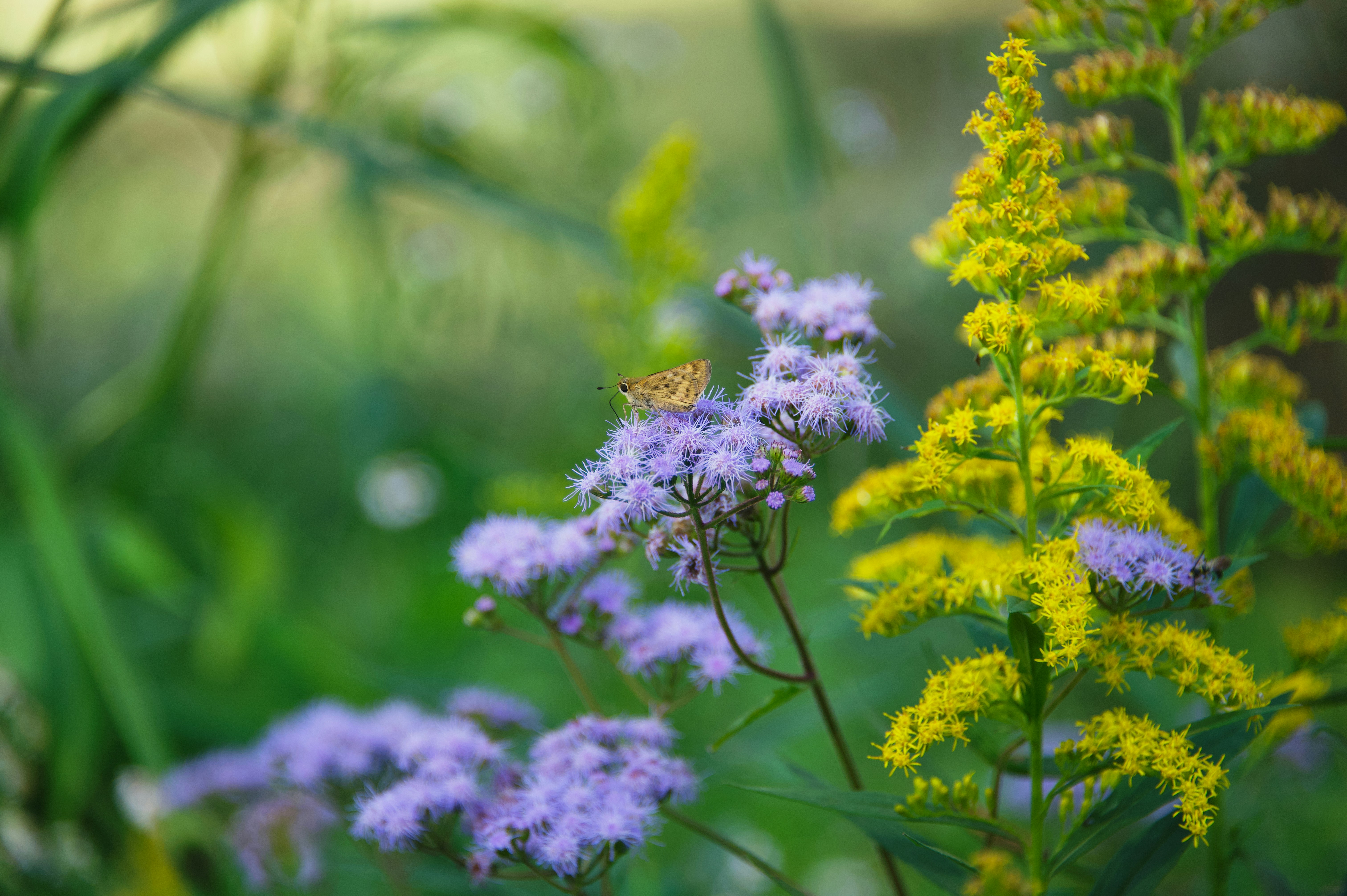 Photo by raenstorming