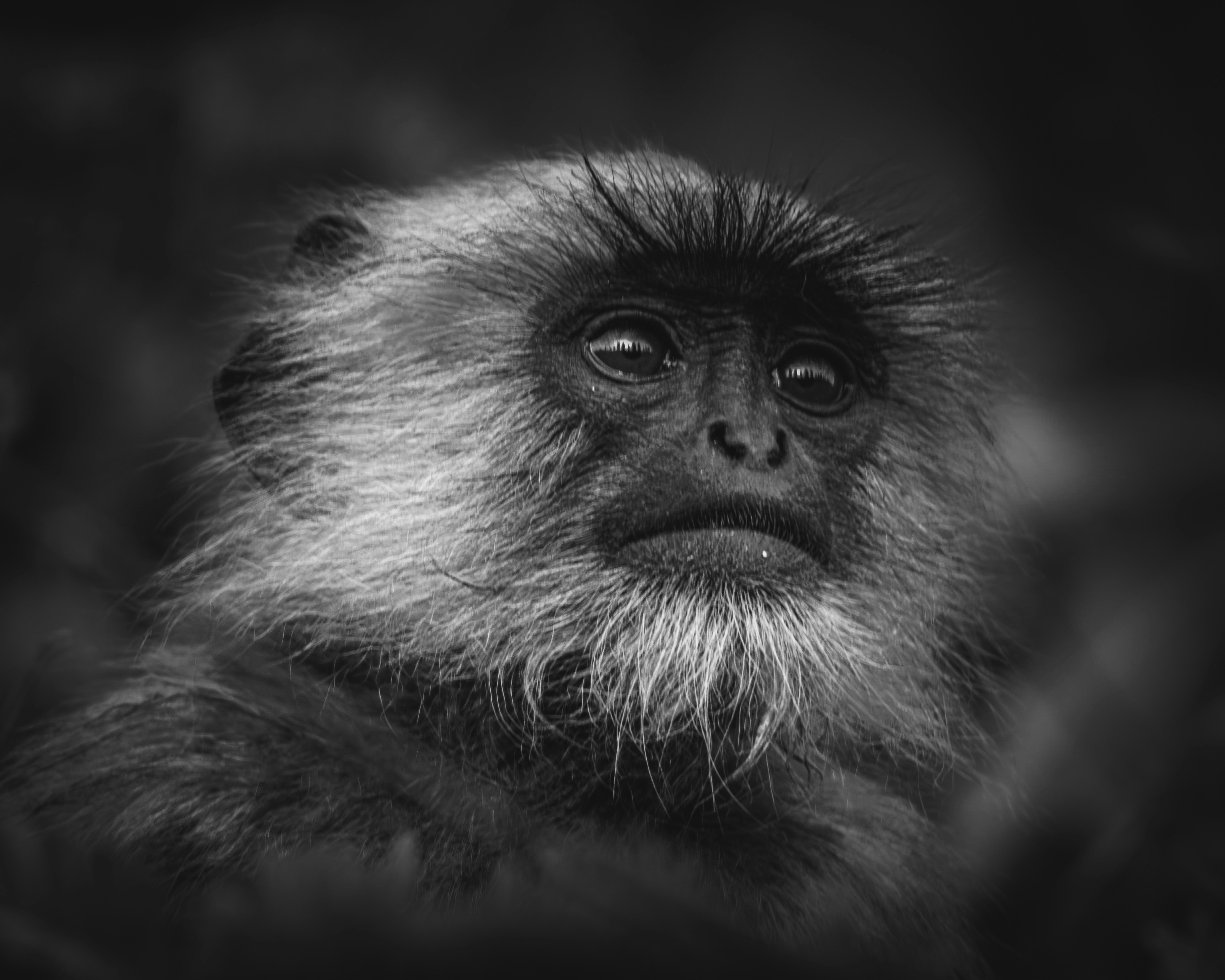 Photo by harshit_suryawanshi