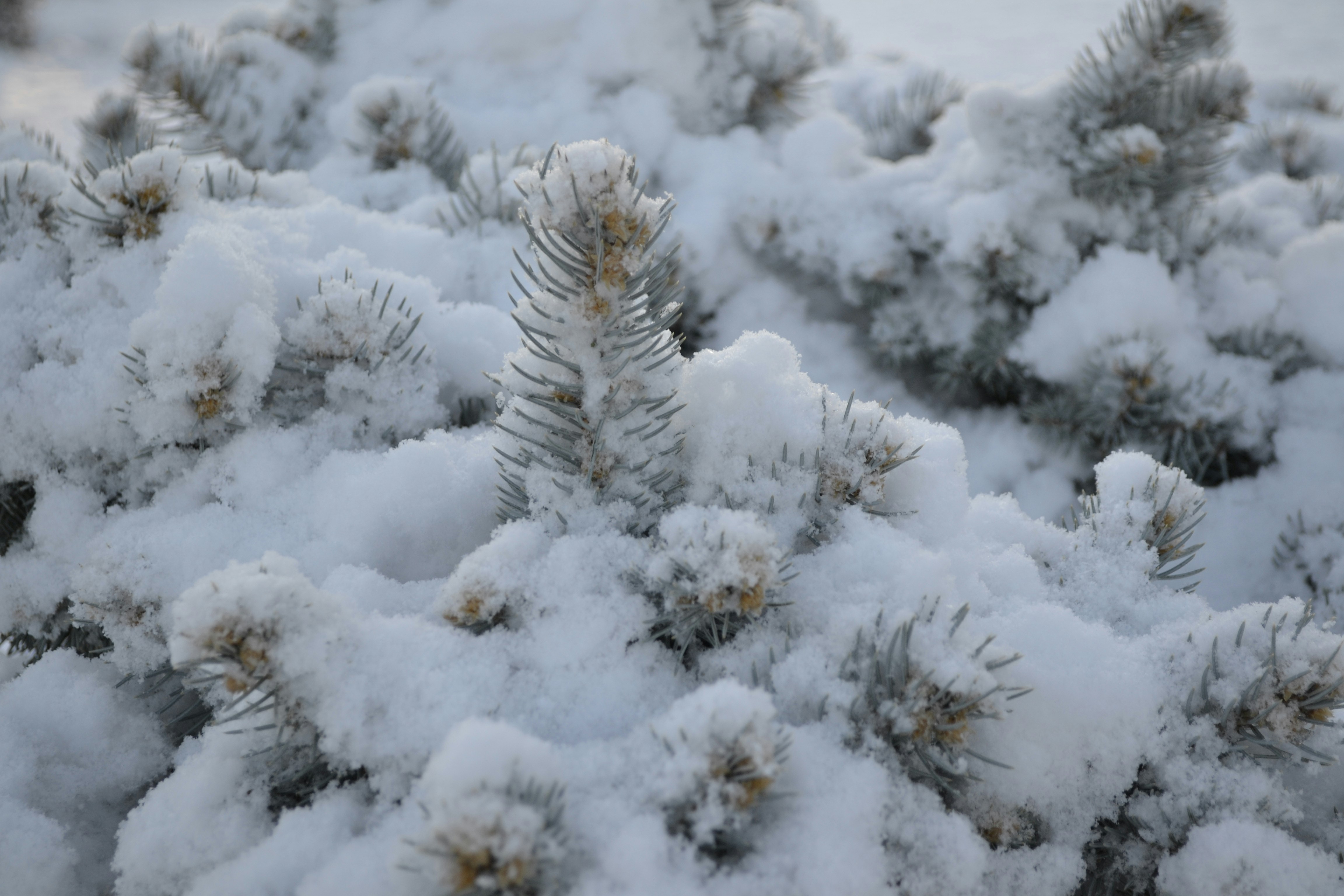 Photo by yharrison1108