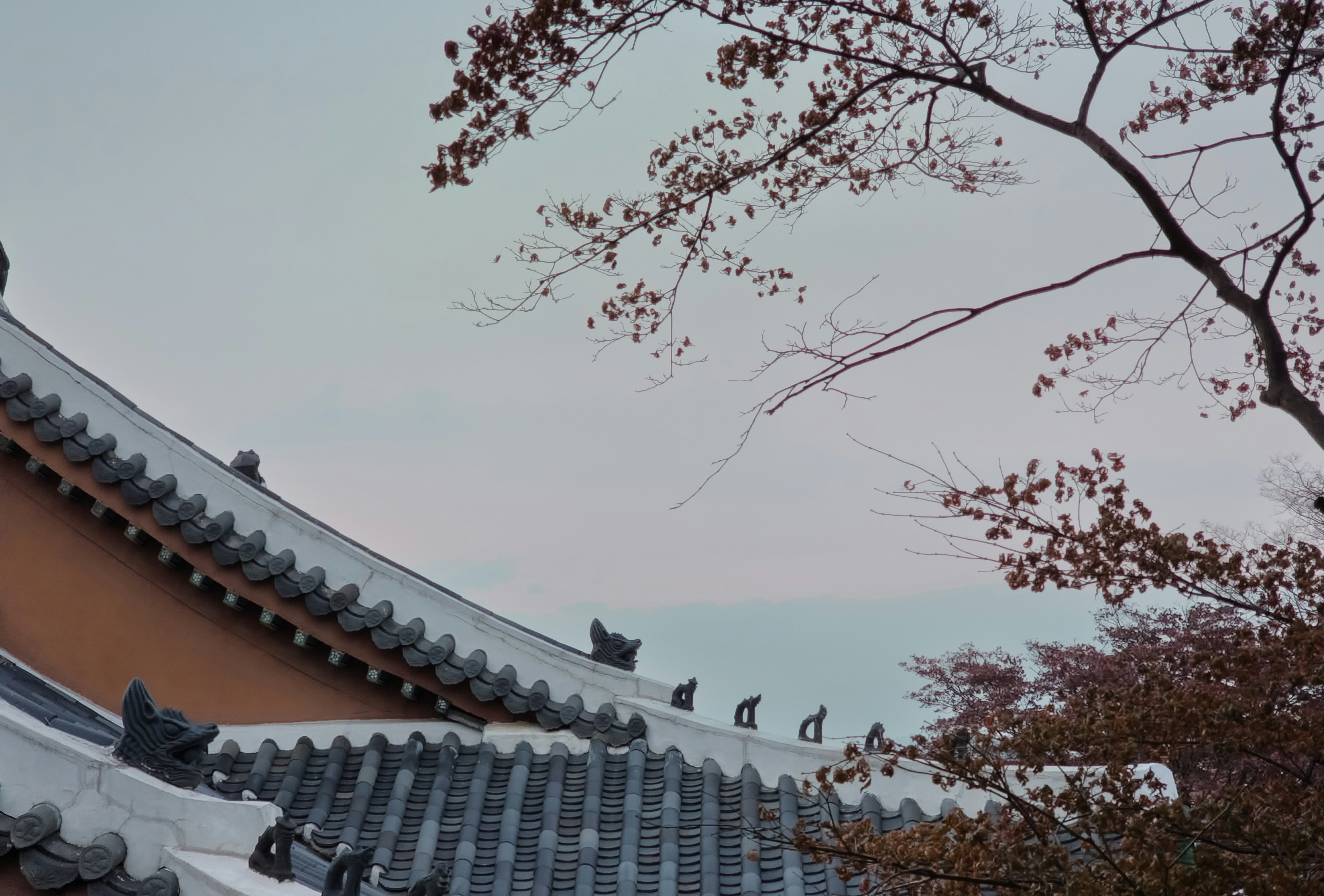 Photo by enragingberry