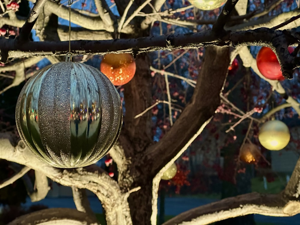 a tree with a bunch of ornaments hanging from it's branches