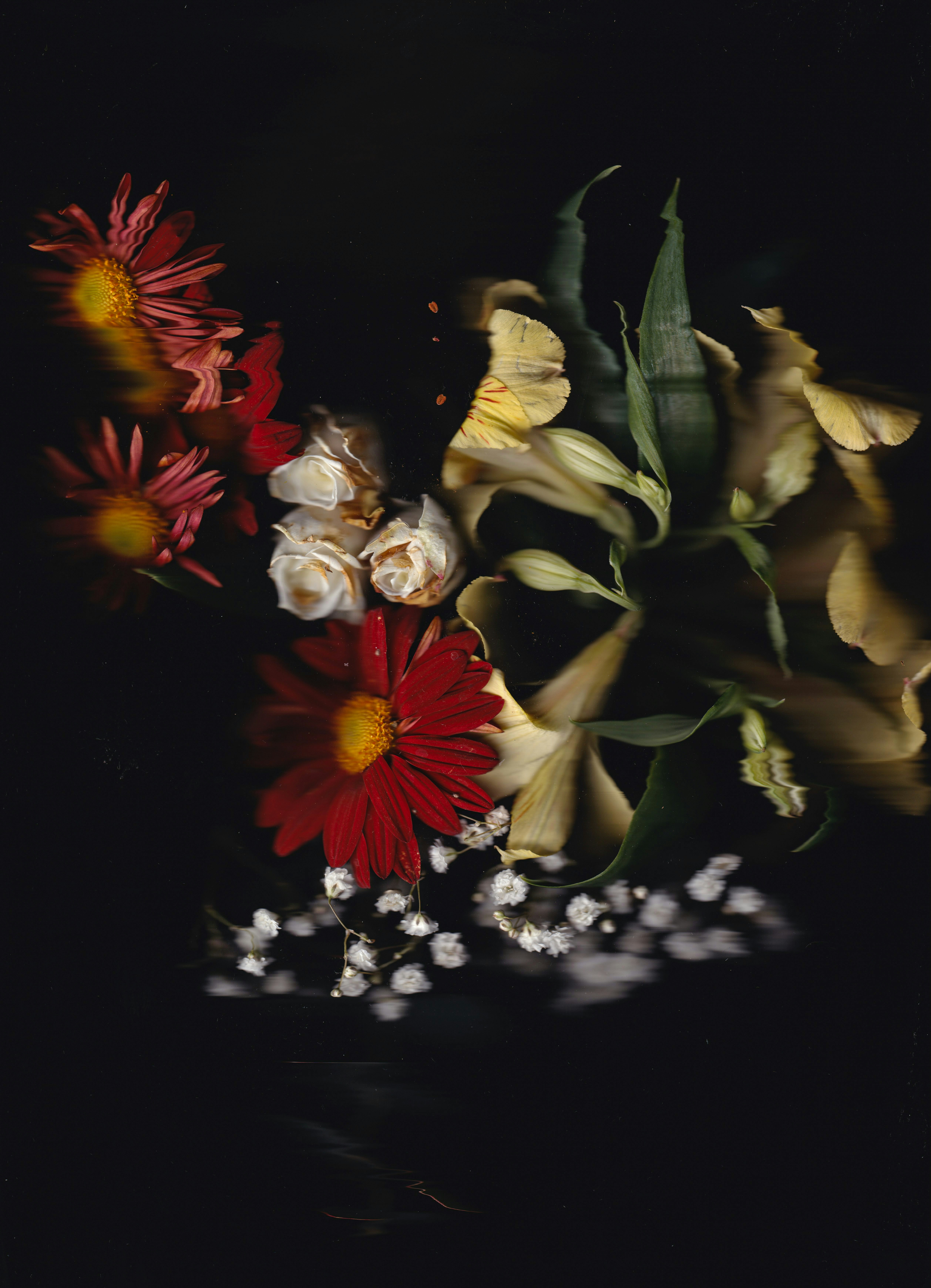 Photo by delfinaiacub