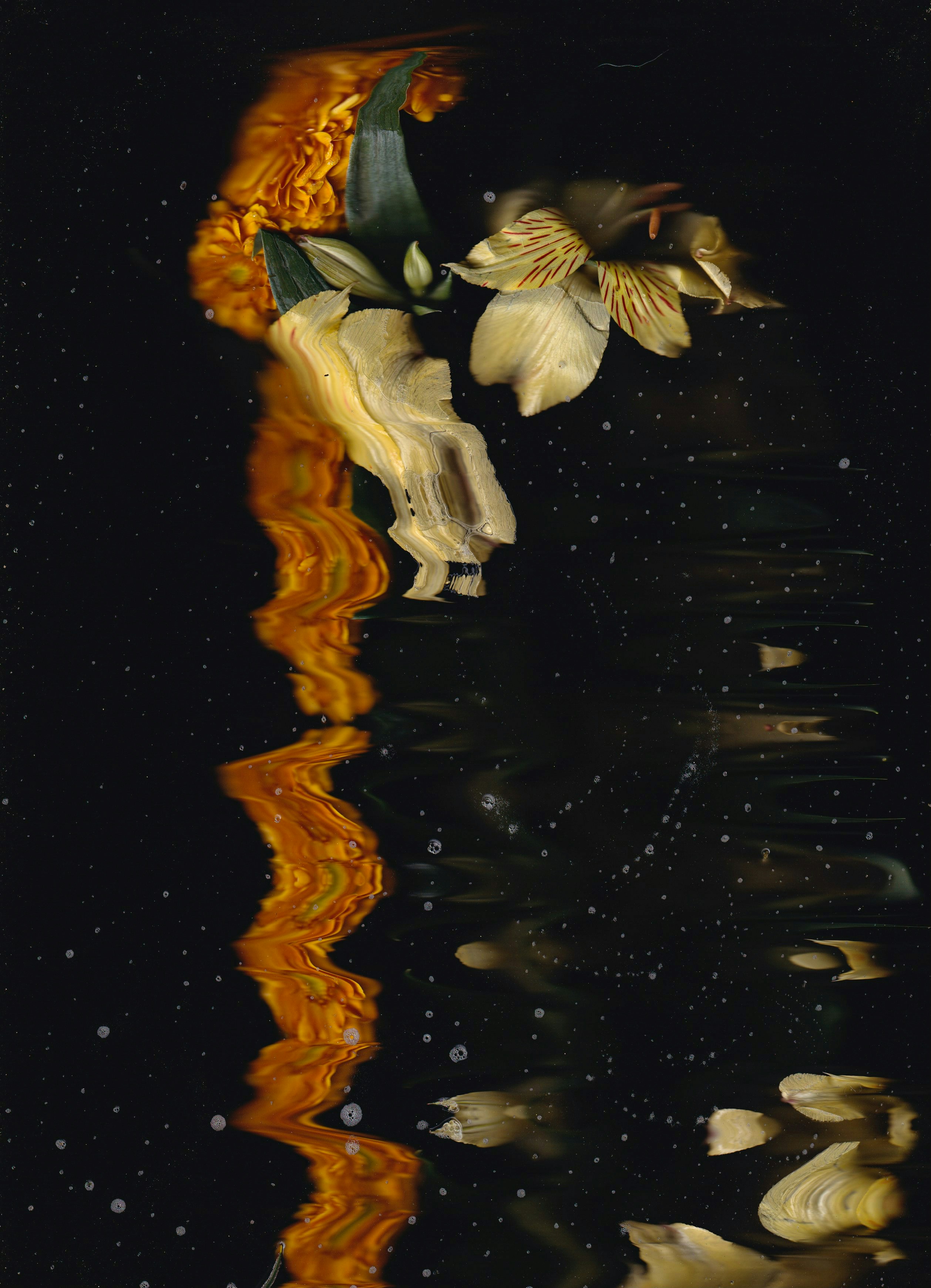 une peinture de fleurs se reflétant dans l’eau