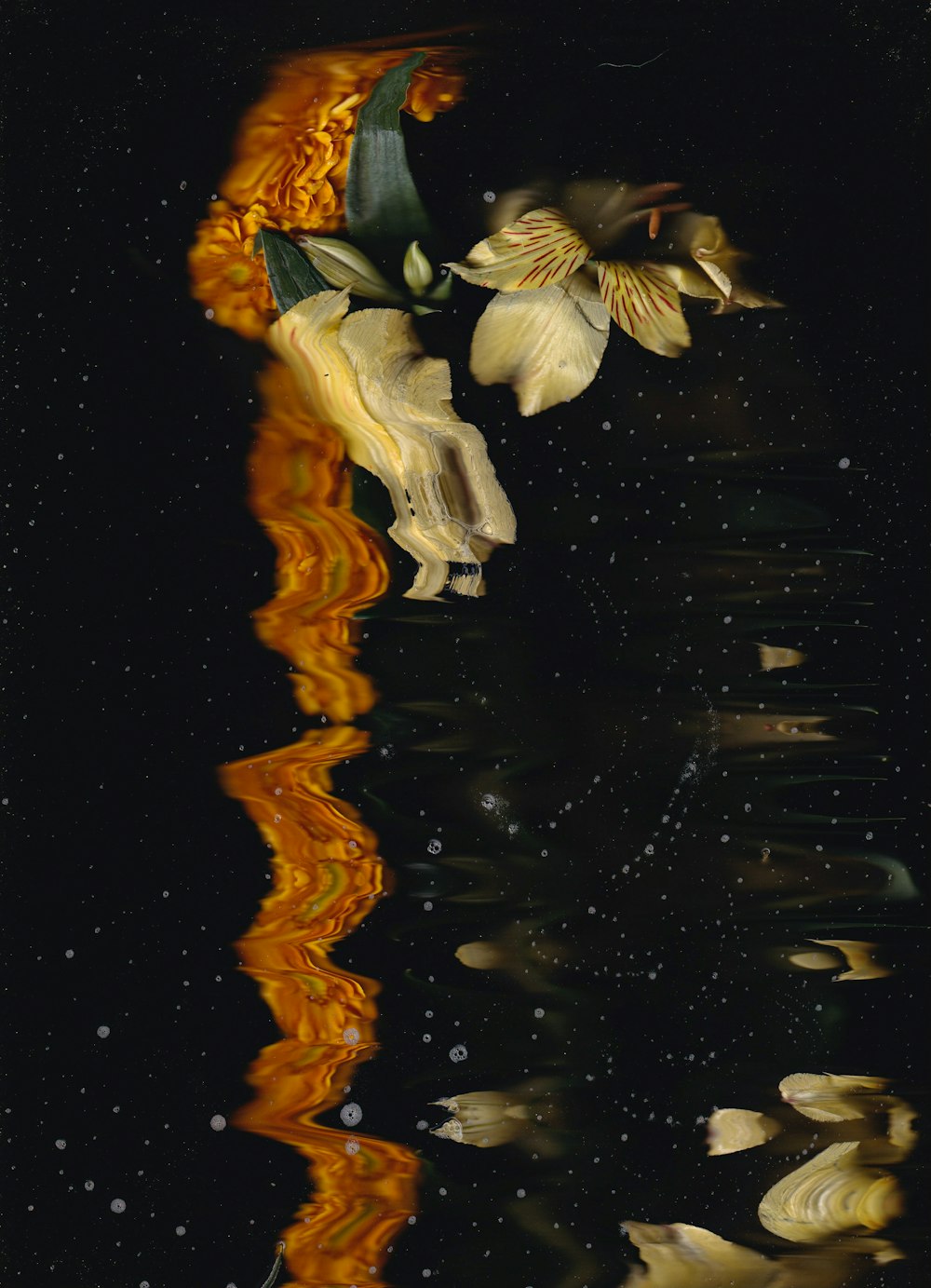 a painting of flowers reflecting in the water