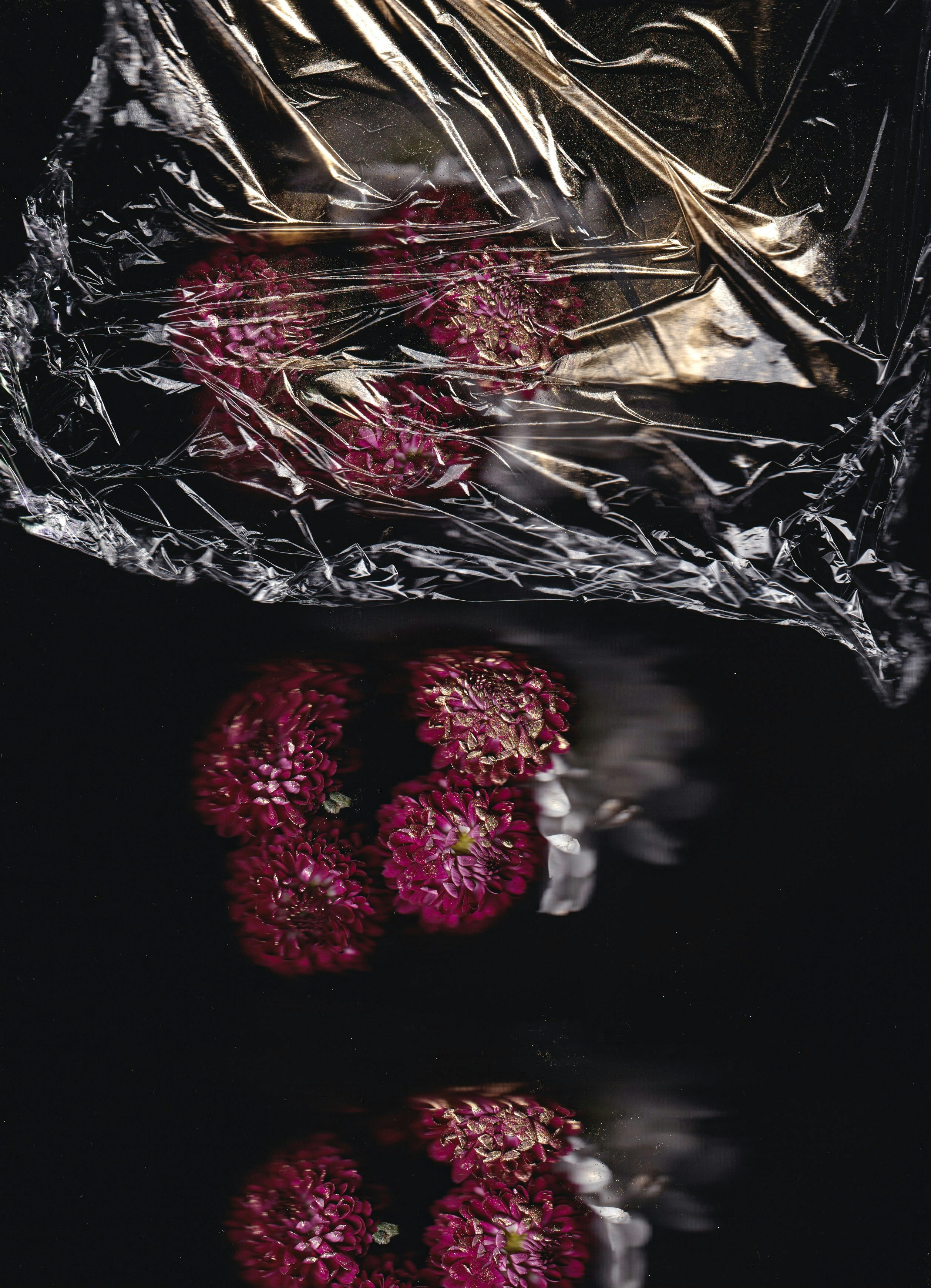 Photo by delfinaiacub