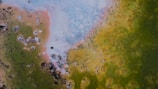 An aerial view of a natural landscape featuring a vibrant mix of colors. The scene displays a gradient of greens, yellows, and blues, interspersed with textured patches and small dark spots, suggesting mineral deposits or microbial mats.