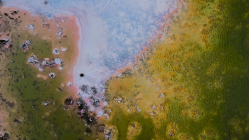 An aerial view of a natural landscape featuring a vibrant mix of colors. The scene displays a gradient of greens, yellows, and blues, interspersed with textured patches and small dark spots, suggesting mineral deposits or microbial mats.