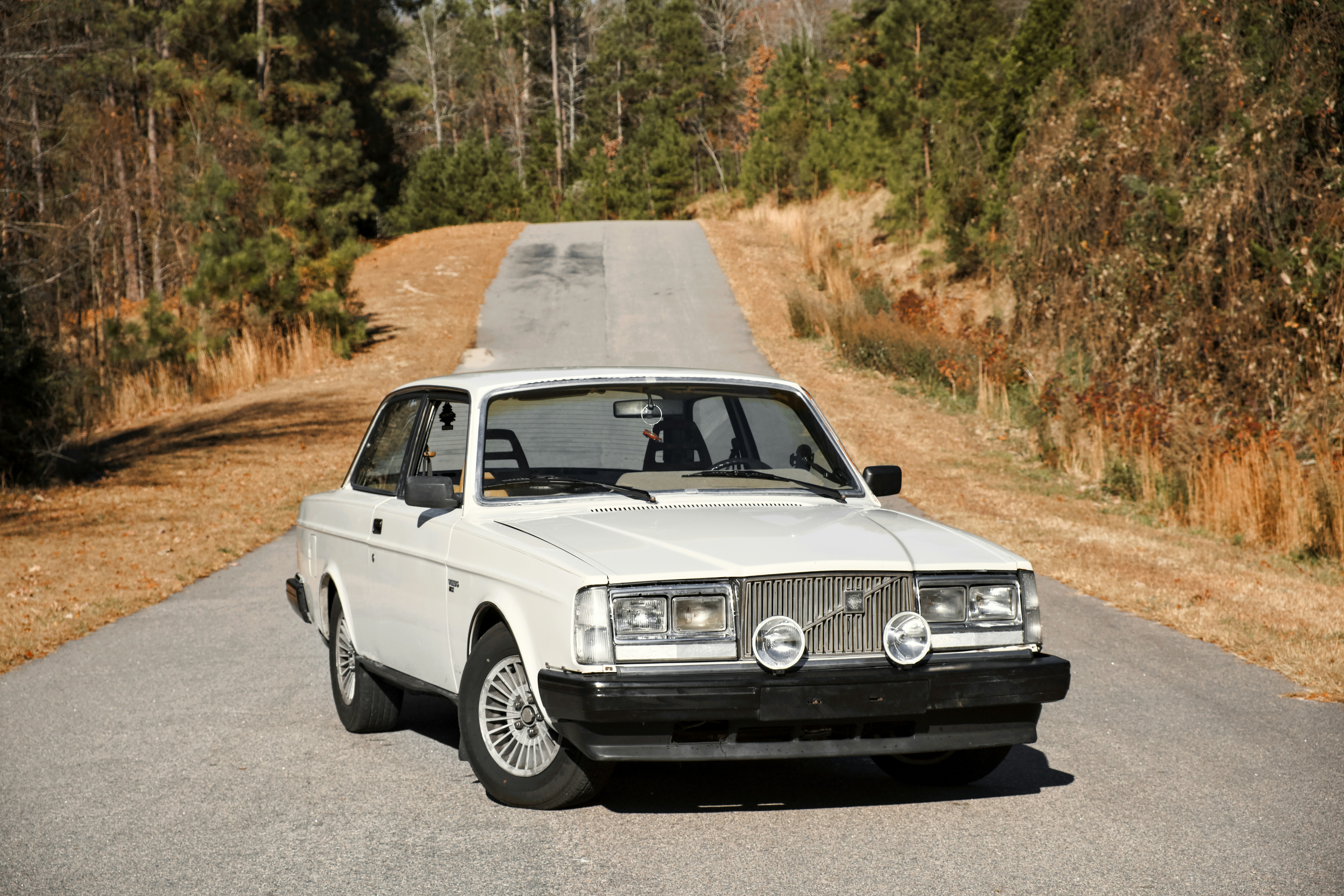 Photo by nikoflicksphotography