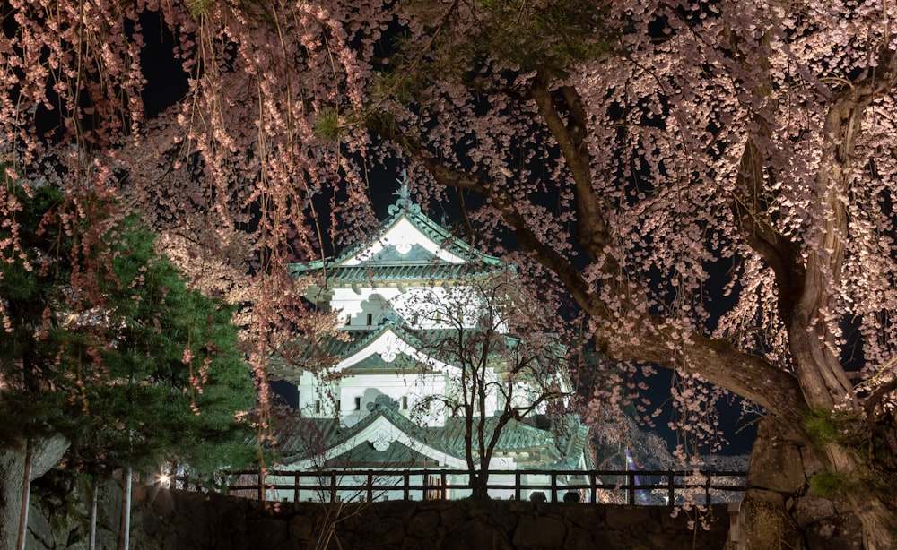 a tall white building surrounded by trees with pink flowers