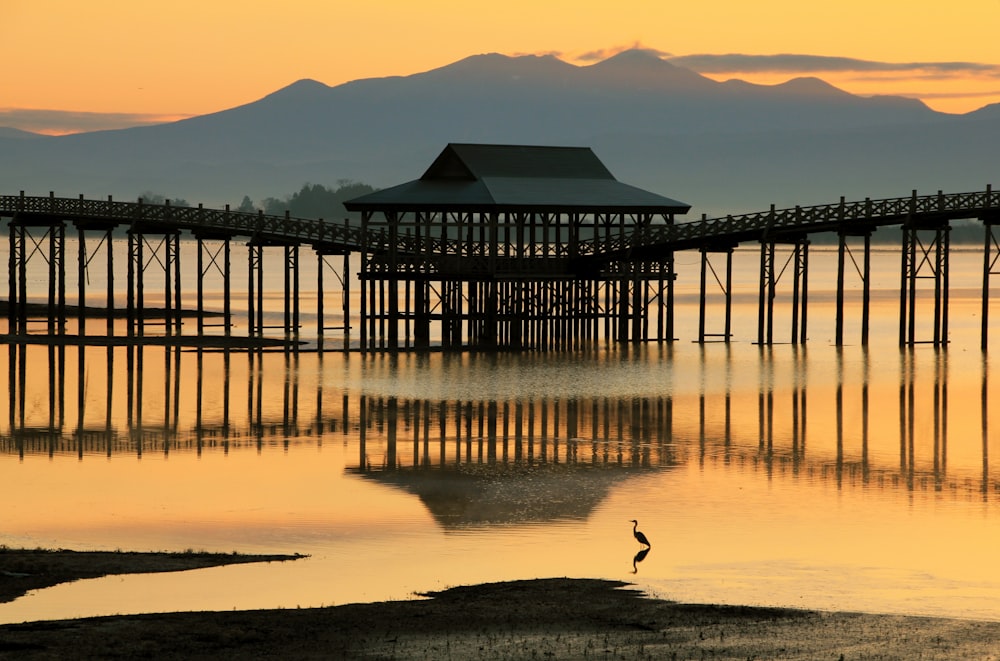 a bird is standing in the water near a pier