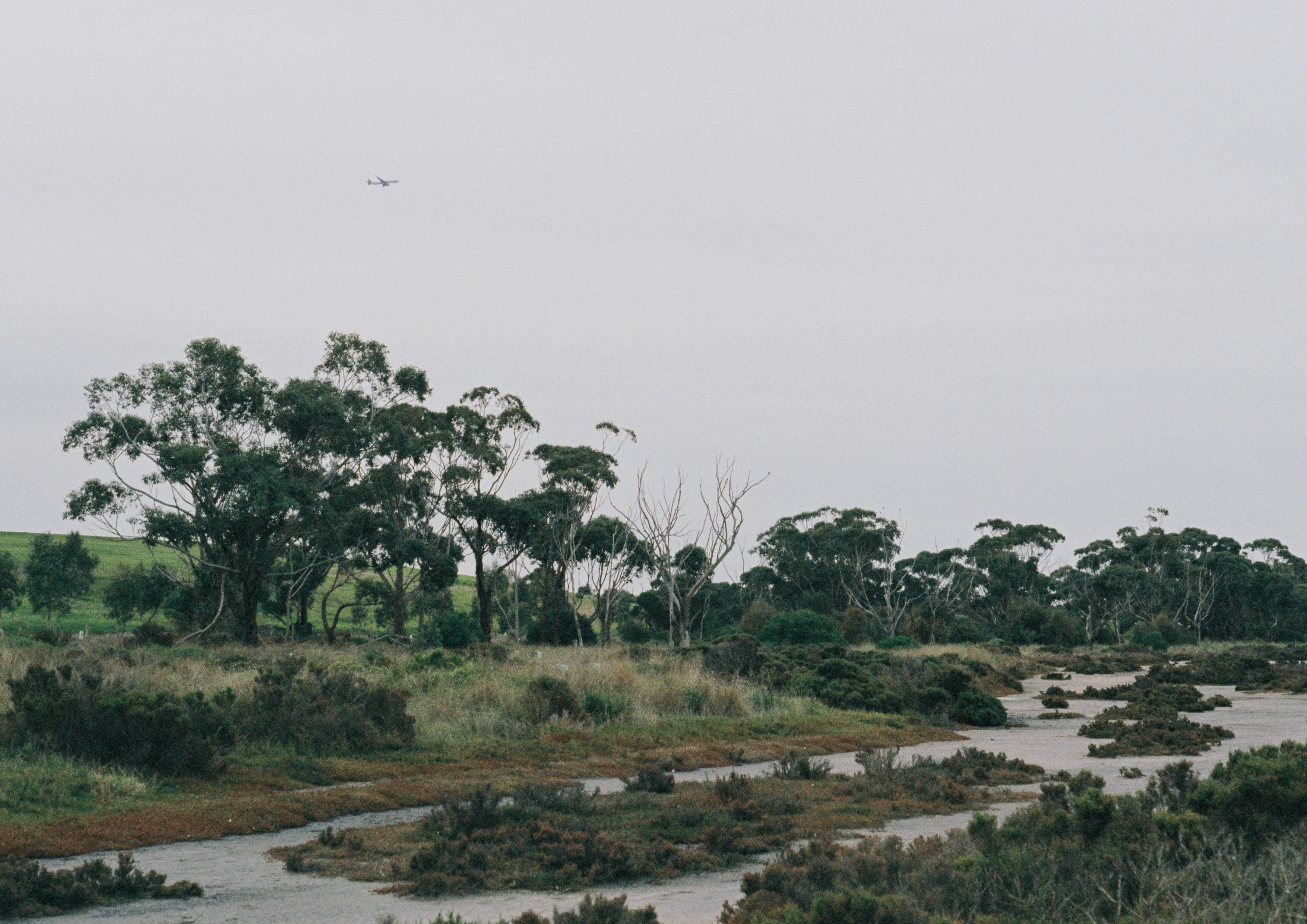 Quandong Walks 2026: What Google Doesn't Tell You