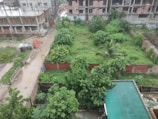 An overgrown piece of land bordered by a brick wall stands amidst a developing urban area. The area is filled with lush green vegetation and trees, hinting at abandonment or lack of maintenance. Surrounding the plot, there are partly constructed buildings made of bricks and concrete beams. A narrow street runs alongside, with scattered construction materials and debris.