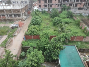 An overgrown piece of land bordered by a brick wall stands amidst a developing urban area. The area is filled with lush green vegetation and trees, hinting at abandonment or lack of maintenance. Surrounding the plot, there are partly constructed buildings made of bricks and concrete beams. A narrow street runs alongside, with scattered construction materials and debris.