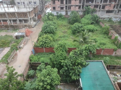 An overgrown piece of land bordered by a brick wall stands amidst a developing urban area. The area is filled with lush green vegetation and trees, hinting at abandonment or lack of maintenance. Surrounding the plot, there are partly constructed buildings made of bricks and concrete beams. A narrow street runs alongside, with scattered construction materials and debris.