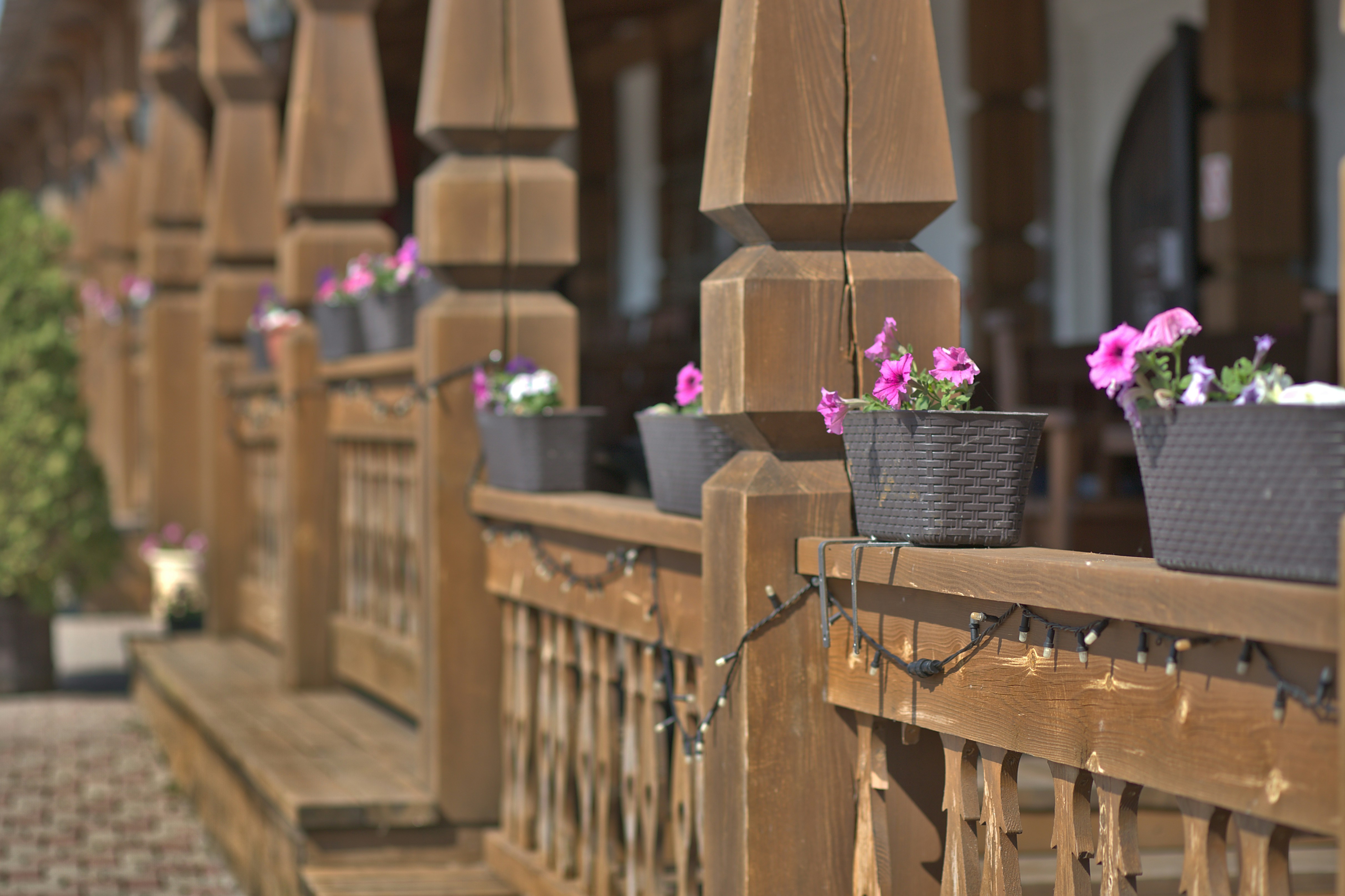 ceramic garden planters