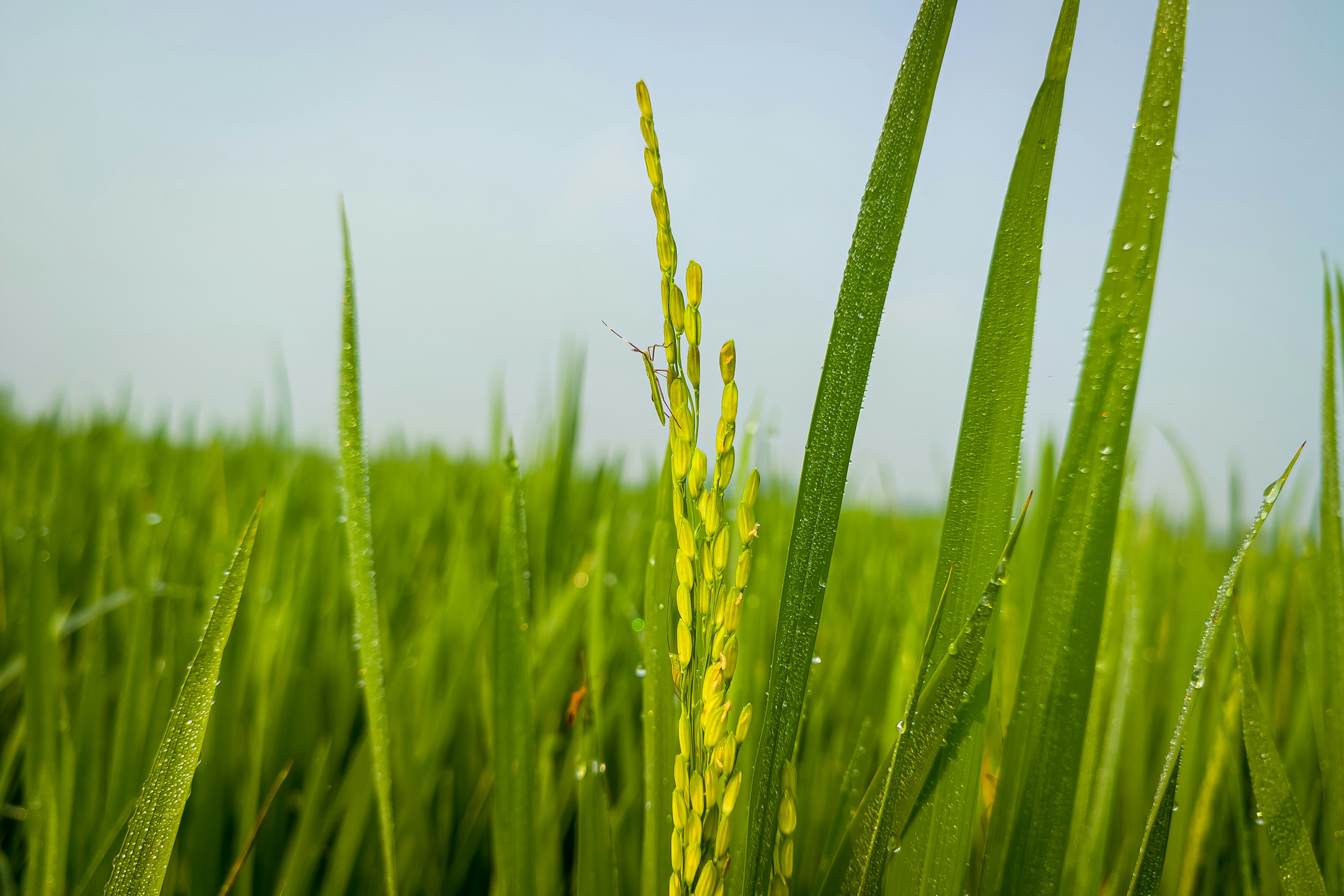 Photo by imageshutter85